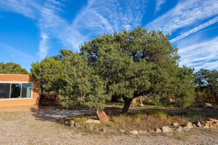 Pet Friendly Pinon Heaven Bed & Breakfast Canada de los Alamos Dış mekan fotoğraf