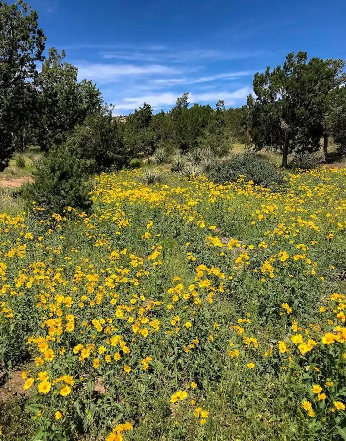 Pet Friendly Pinon Heaven Bed & Breakfast Canada de los Alamos Dış mekan fotoğraf